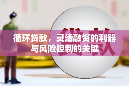 泗阳循环贷款，灵活融资的利器与风险控制的关键