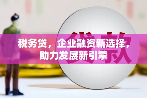 泗阳税务贷，企业融资新选择，助力发展新引擎