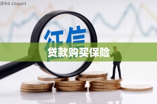 泗阳贷款购买保险