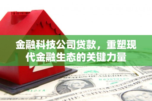 泗阳金融科技公司贷款，重塑现代金融生态的关键力量