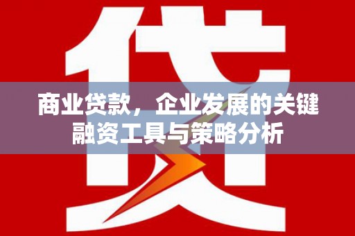 泗阳商业贷款，企业发展的关键融资工具与策略分析