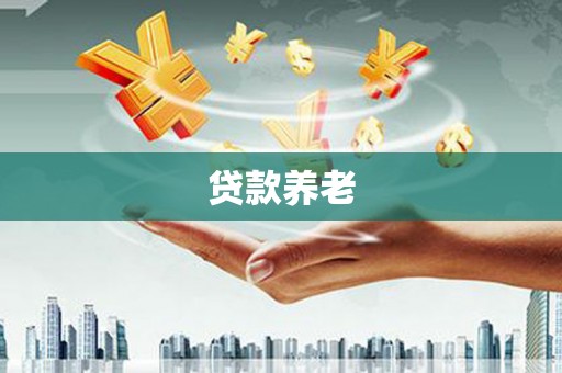 泗阳贷款养老