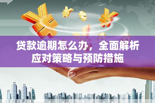 泗阳贷款逾期怎么办，全面解析应对策略与预防措施