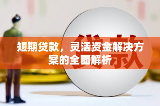 泗阳短期贷款，灵活资金解决方案的全面解析
