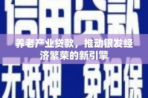 泗阳养老产业贷款，推动银发经济繁荣的新引擎