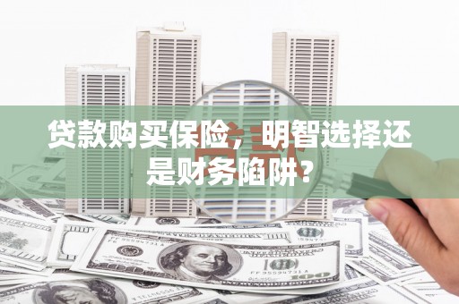 泗阳贷款购买保险，明智选择还是财务陷阱？
