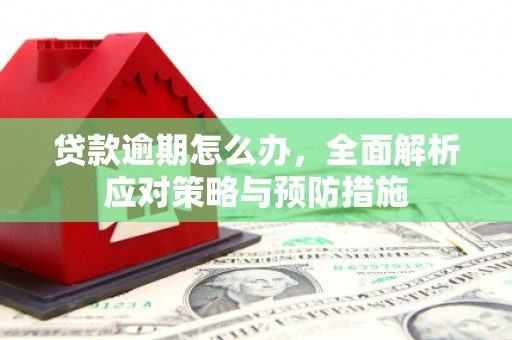 泗阳贷款逾期怎么办，全面解析应对策略与预防措施