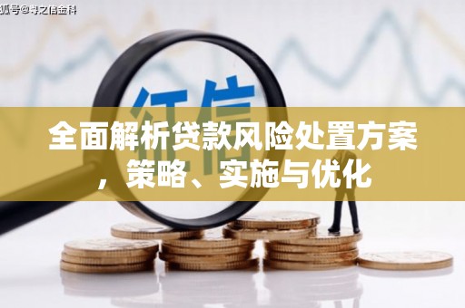 泗阳全面解析贷款风险处置方案，策略、实施与优化