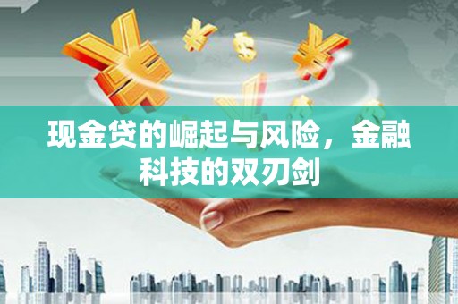 泗阳现金贷的崛起与风险，金融科技的双刃剑