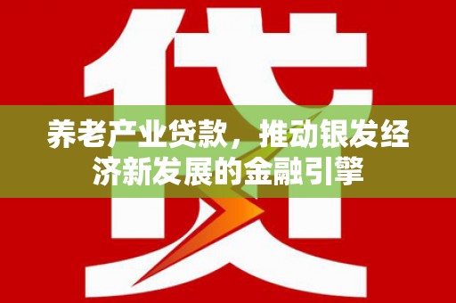 泗阳养老产业贷款，推动银发经济新发展的金融引擎