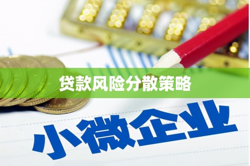 泗阳贷款风险分散策略