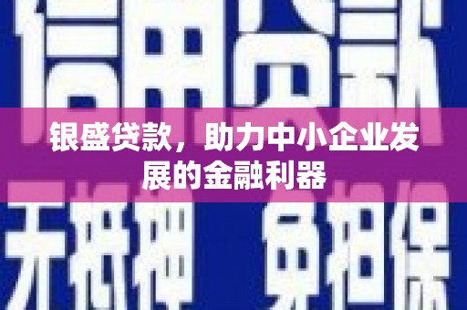 泗阳银盛贷款，助力中小企业发展的金融利器