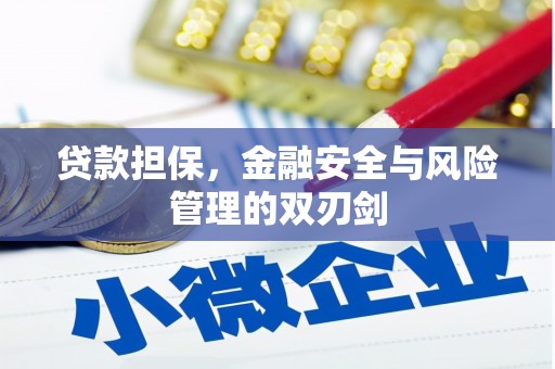 泗阳贷款担保，金融安全与风险管理的双刃剑