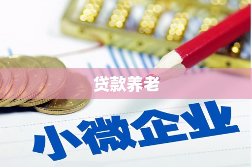 泗阳贷款养老