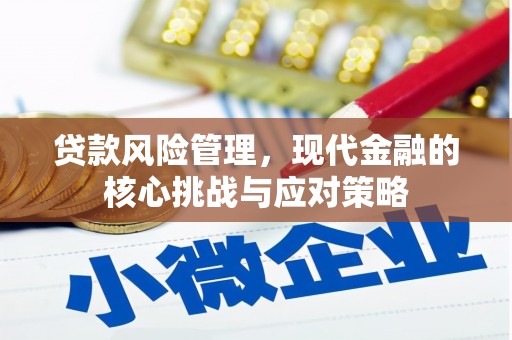 泗阳贷款风险管理，现代金融的核心挑战与应对策略