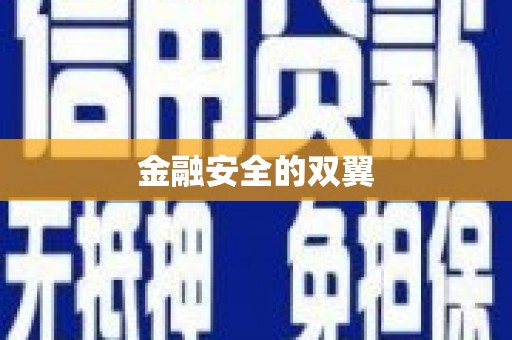 泗阳金融安全的双翼