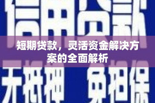 泗阳短期贷款，灵活资金解决方案的全面解析