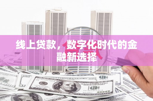 泗阳线上贷款，数字化时代的金融新选择