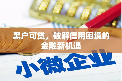 泗阳黑户可贷，破解信用困境的金融新机遇