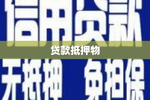 泗阳贷款抵押物
