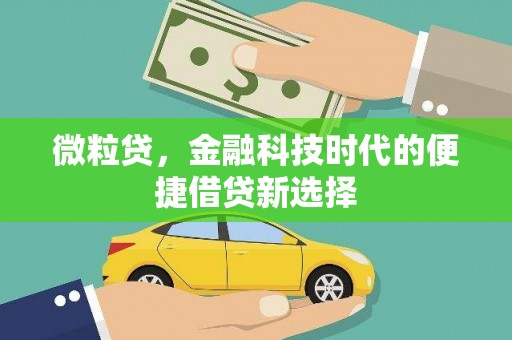泗阳微粒贷，金融科技时代的便捷借贷新选择