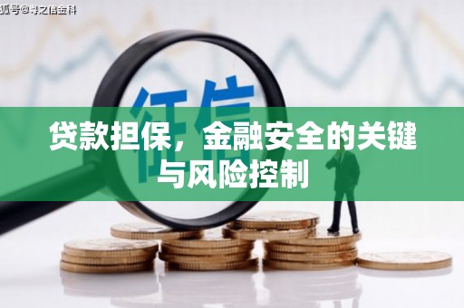 泗阳贷款担保，金融安全的关键与风险控制