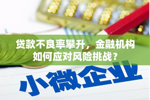 泗阳贷款不良率攀升，金融机构如何应对风险挑战？
