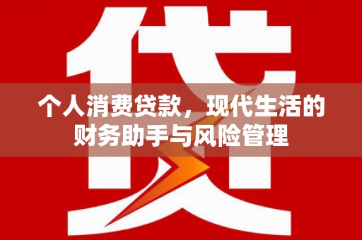 泗阳个人消费贷款，现代生活的财务助手与风险管理