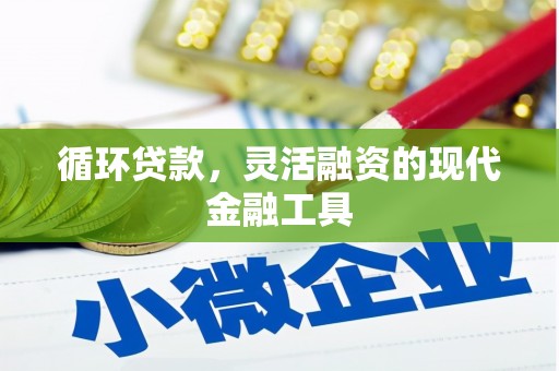 泗阳循环贷款，灵活融资的现代金融工具