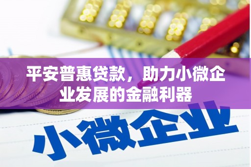 泗阳平安普惠贷款，助力小微企业发展的金融利器