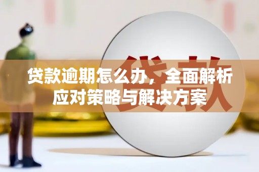 泗阳贷款逾期怎么办，全面解析应对策略与解决方案