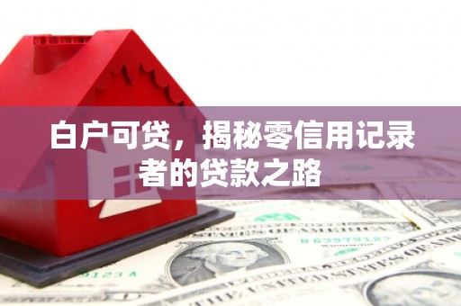 泗阳白户可贷，揭秘零信用记录者的贷款之路