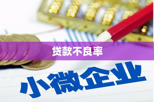 泗阳贷款不良率