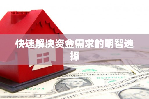 泗阳快速解决资金需求的明智选择