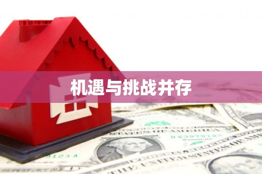 泗阳机遇与挑战并存 泗阳机遇与挑战并存