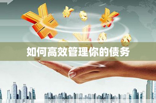 泗阳如何高效管理你的债务