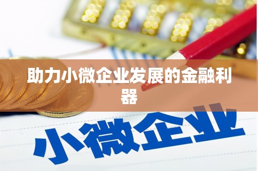 泗阳助力小微企业发展的金融利器
