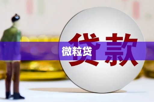 泗阳微粒贷