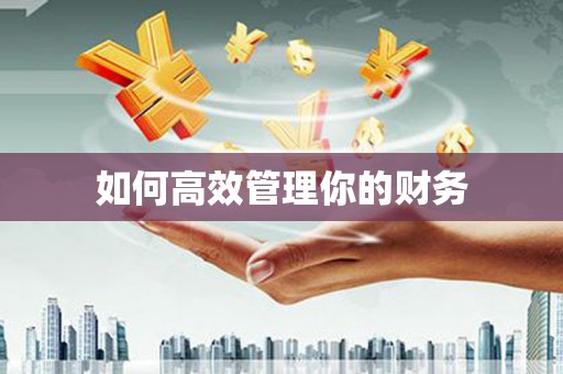 泗阳如何高效管理你的财务