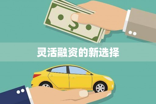 泗阳灵活融资的新选择