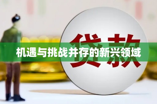 泗阳机遇与挑战并存的新兴领域