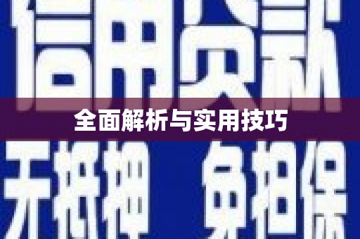 泗阳全面解析与实用技巧