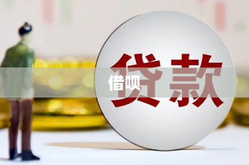 泗阳借呗
