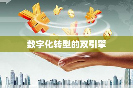 泗阳数字化转型的双引擎