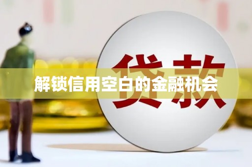 泗阳解锁信用空白的金融机会