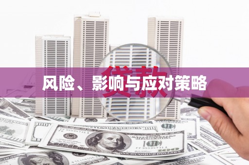 泗阳风险、影响与应对策略