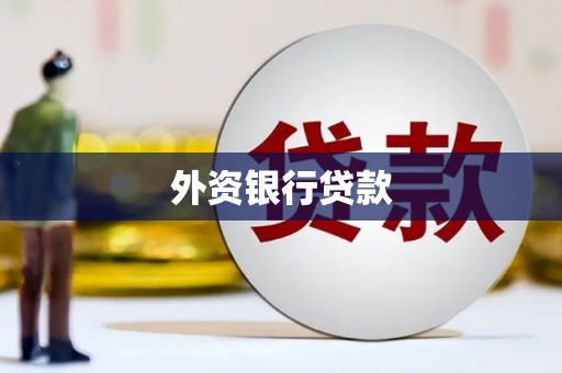 泗阳外资银行贷款