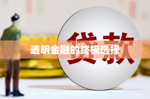 泗阳透明金融的终极选择