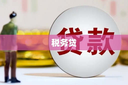 泗阳税务贷