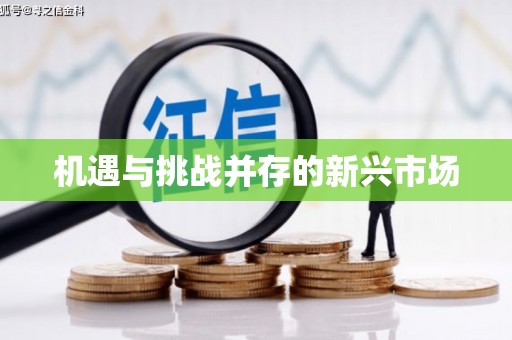 泗阳机遇与挑战并存的新兴市场
